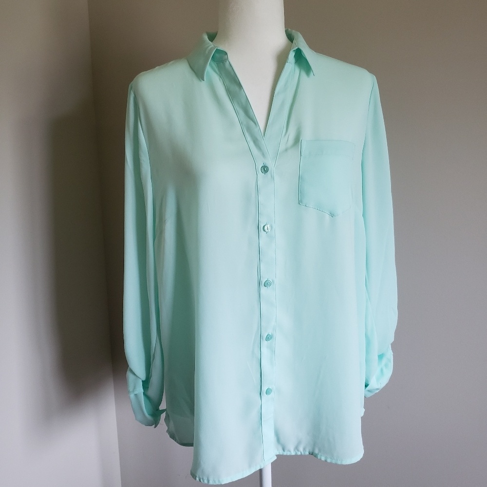 The Limited women's light blue blouse
